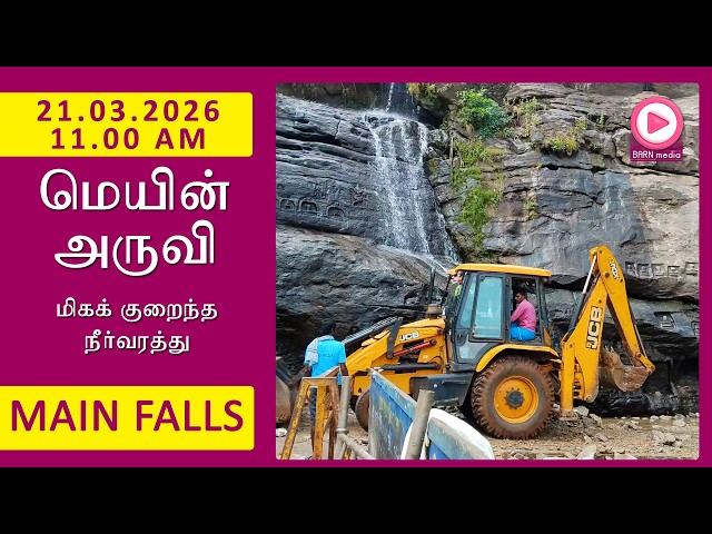 Main Falls | 21.03.2026, 11.00 AM | மெயின் அருவி வீடியோ | Kutralam Season Today | KutralamLive