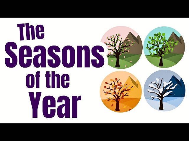 Seasons of the Year for Kids | Spring, Summer, Fall & Winter