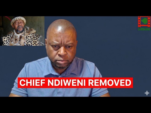 Mnangagwa Removes Chief Ndiweni