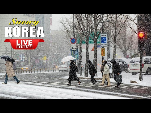 Myeongdong Snow Walk Seoul | Winter Night Street Walk | Seoul Travel