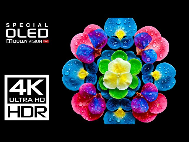REAL OLED TEST - Best HDR 4K Video ULTRA HD 120 fps Dolby Vision Demo