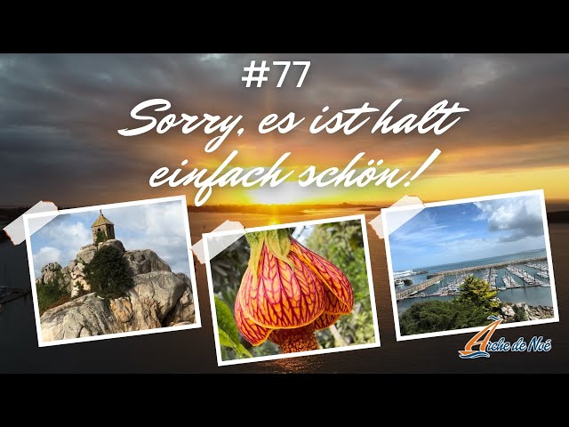 #77 - Sorry, but it's just beautiful!