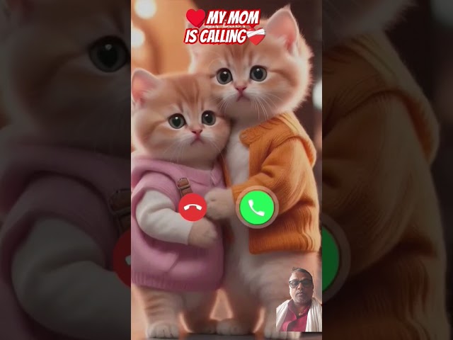 #ringtone #nadaderingtelepon #ringtones #cat #cute #funny #smartphone #music #bgm #calling