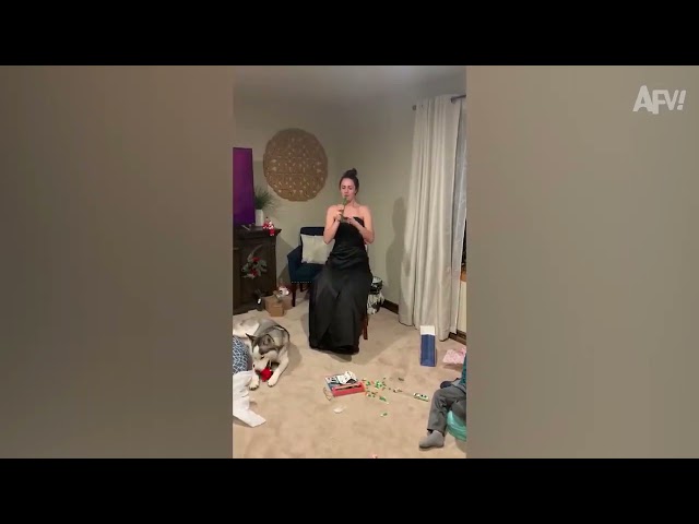 Americas funniest videos, Funny videos, Fail videos, AFV videos, AFV, Americas Funniest Home