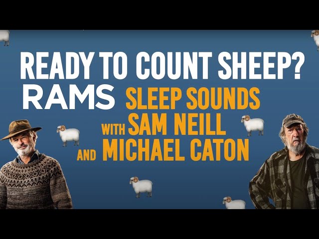 Wind down and relax with this ASMBaahhh | RAMS