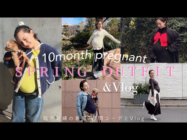 【臨月妊婦の春コーデとVlog】もうお腹がパンパン！でもお洒落したい🌸色んな日の詰め込みVlog🤍