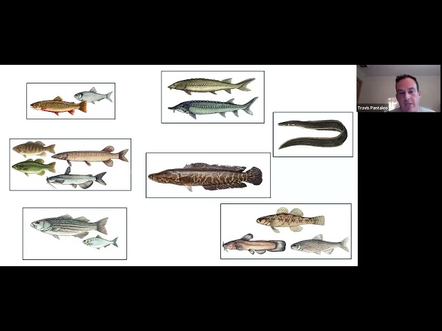 Heritage Lecture: Fish Tales: The Delaware and its Tributaries & Estuary by Travis Pantaleo