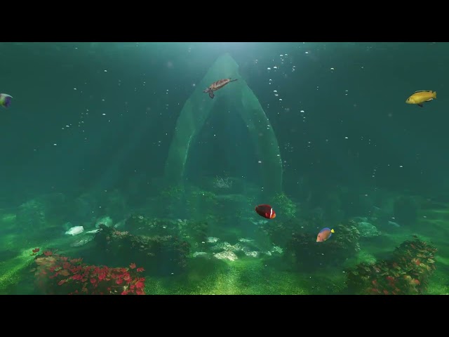 Underwater Symphony - 4K Nature Video with Beautiful Sound, Fish, and Turtles