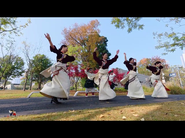 罗科古舞·《金色花朵》雍吉编舞Luo Ke Gu Dance - "Golden Flower" Choreographed by Yong Ji