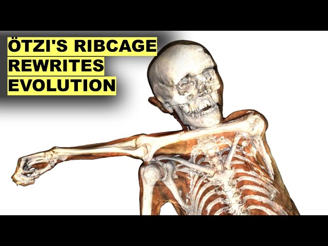 Study of Ötzi the Iceman's Ribcage Just Changed Human Evolution Forever
