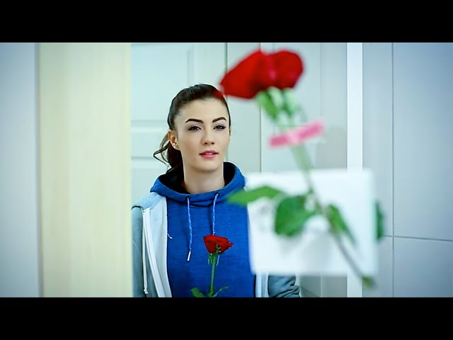 🌹Love propose status 💕😍New love status 💕💕@leostatusofficial