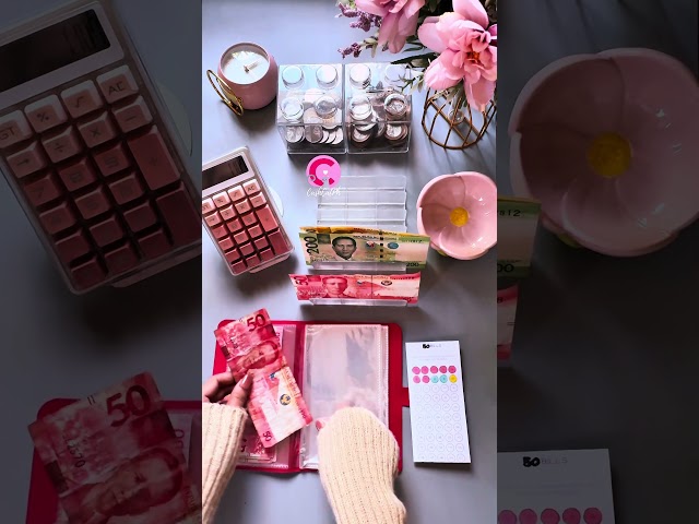 Stuffing Savings Challenges #cashstuffing #budget #savingschallenges  #stuffingcrew  #budget  #cash