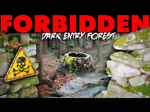 Why Dark Entry Forest is Totally Forbidden