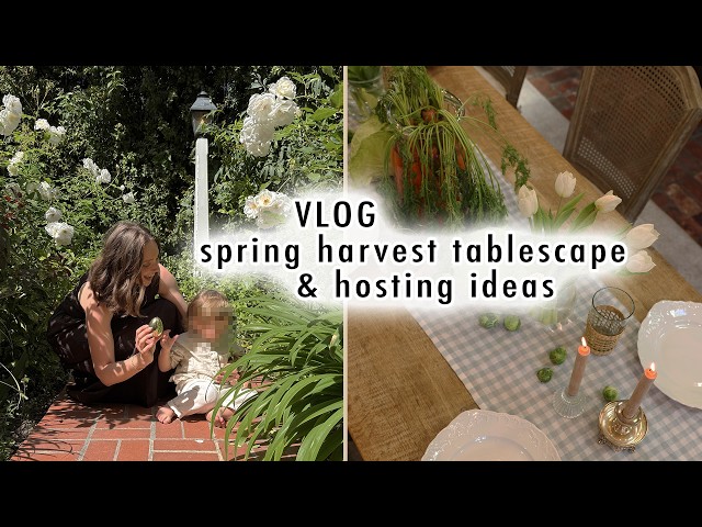 VLOG: spring harvest tablescape & hosting ideas | MaCenna Lee