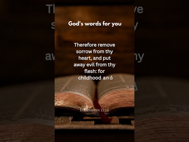 bible verse for today | bible adventures | bible stories #bible #shorts