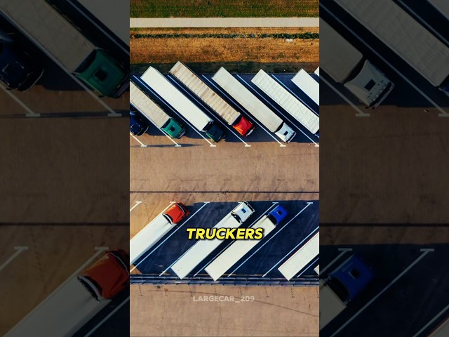 How to Start Your Own Trucking Business in 2025 #trucking #trucker #bigrig #shorts #viralshorts