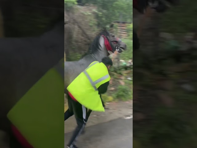 #caterinca #memes #jandarmii