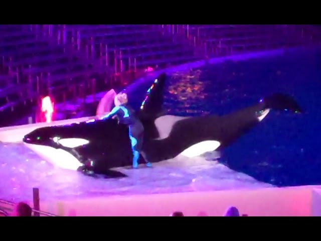 Miracles at SeaWorld San Diego 11-15-14 Part2