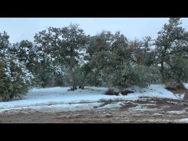 AZ Four Peaks Snow Run in the Rubicon 9