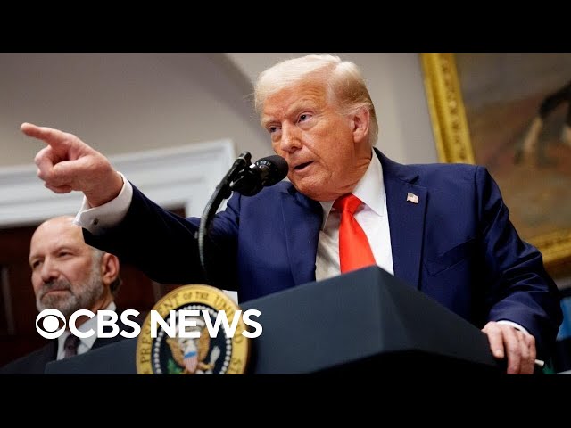 Trump's National Security Strategy warns Europe could face "civilizational erasure"