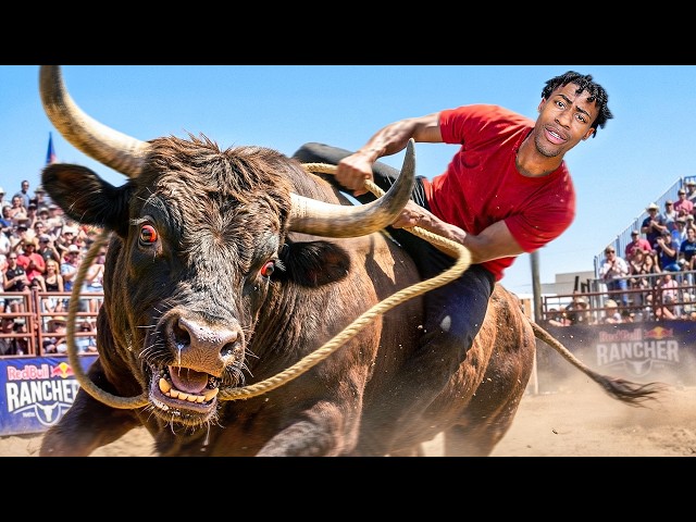 I Tried Red bull Competition with No Experience Again!