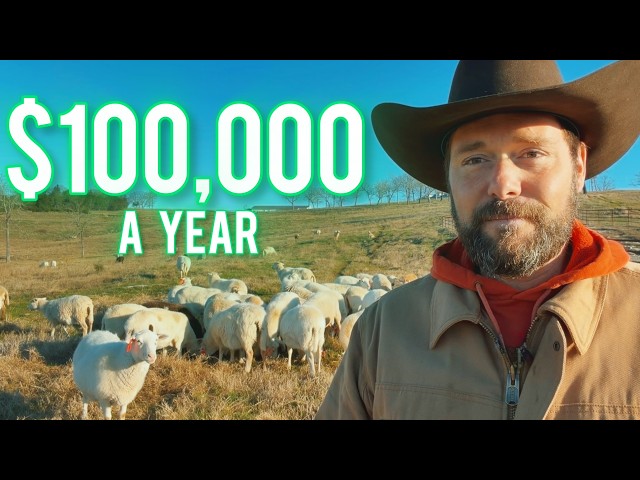 Quit Your 9-5 With Sheep? How to Make $100K Raising Sheep