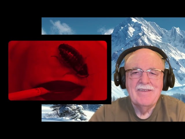 Måneskin - Zitti E Buoni - Requested reaction