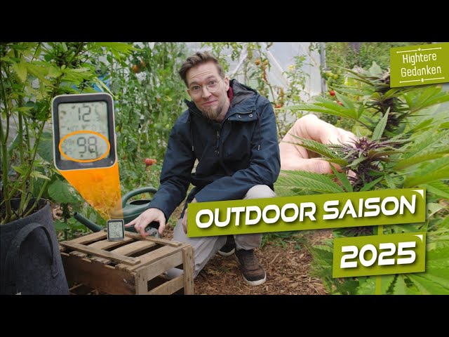 So stark war unsere Outdoor-Ernte 2025 wirklich! 💨 Seed to Harvest