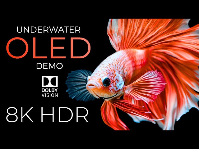 Underwater OLED Demo HDR 8K Ultra HD Dolby Vision™ 60fps