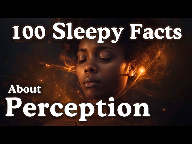 The Most Relaxing Facts About Perception to Fall Asleep To