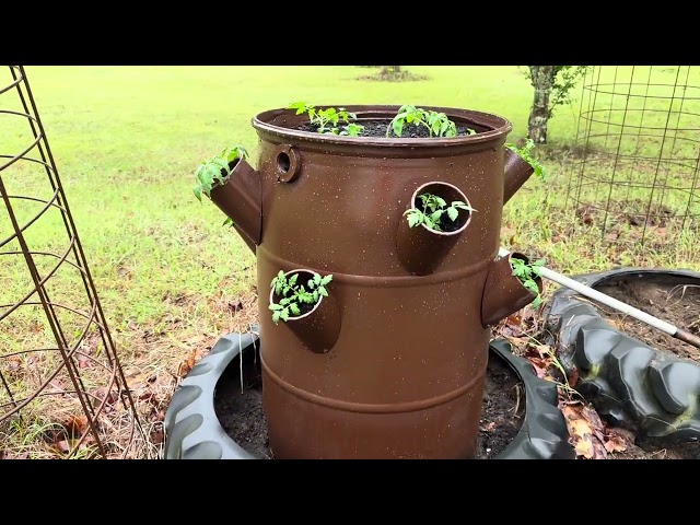 DIY Planter From A 55 Gallon Drum