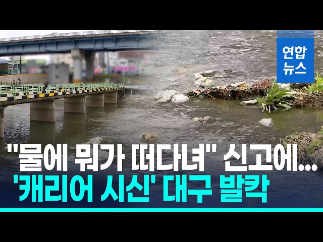 "물에 뭐가 떠다녀"…대구 도심 하천 '캐리어 여성 시신' 충격 / 연합뉴스 (Yonhapnews)