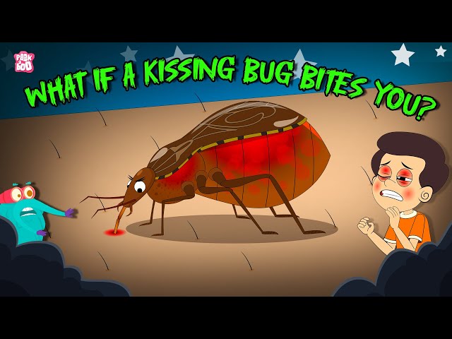 What Happens If a Kissing Bug Bites You? 🐞 | Are Kissing Bugs Dangerous? | Dr. Binocs Show
