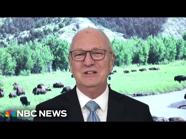 Senate Republican calls for someone to ‘be the adult’ in DHS funding fight