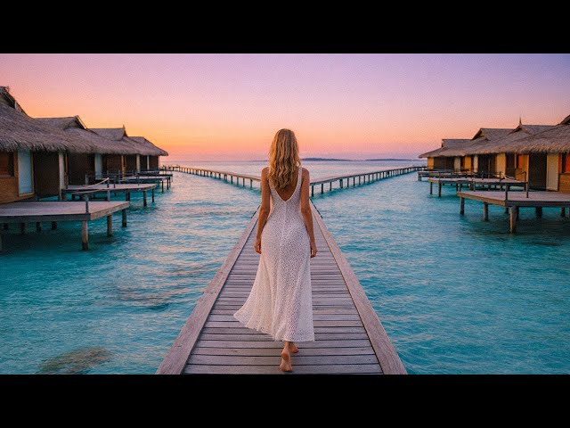 Tropical Relax 2026 - Avicii, Dua Lipa, SoalexD, Martin Garrix & Kygo, The Chainsmokers Style