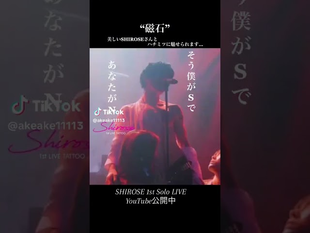 SHIROSE from WHITEJAM1st Solo LIVE“磁石(Magnet)”ハチミツの演出が話題の超おすすめ曲SHIROSEさんの世界観たっぷり…沼ります#shirose #white