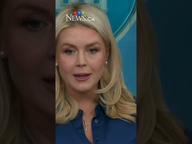 Karoline Leavitt avoids reporter questions about who controls Strait of Hormuz