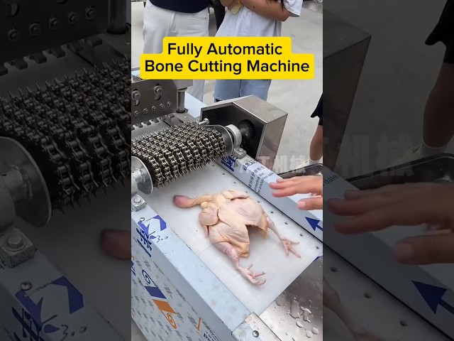 Full Automatic Bone Cutting Machine#BoneCutter #BoneCuttingMachine #MeatProcessing #AutomaticMachine