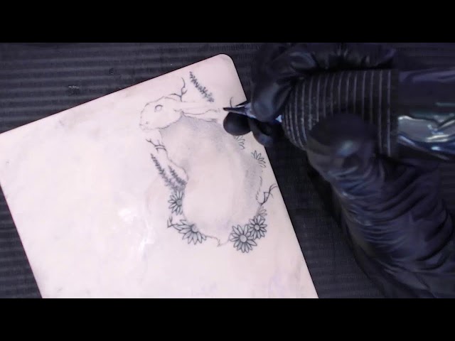 animal tattoos | open studio & study