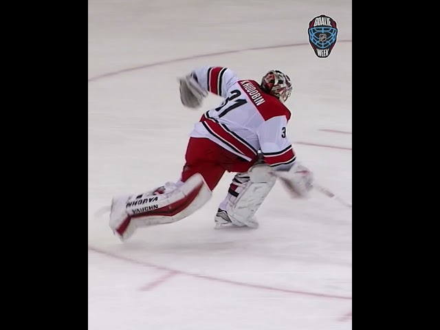 Friendly reminder, goalies are...odd 😅👽