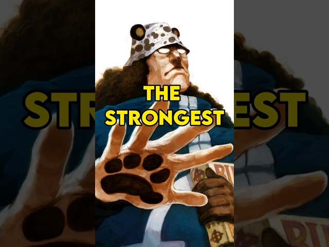 How Strong is Bartholomew Kuma #onepiece #Kuma