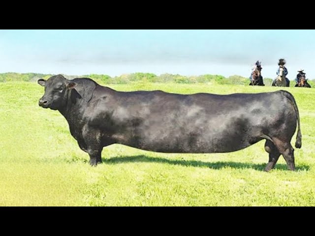 दुनिया के 4 सबसे अनोखे जानवर | You Won’t Believe These 4 Amazing Animals