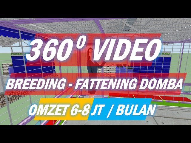 KANDANG BREEDING-FATTENING DOMBA (HYBRID) | 360° VIDEO