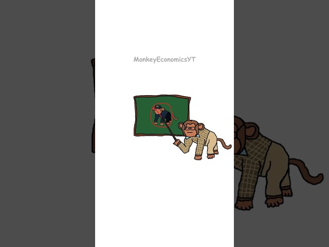 Monkey Economics Tax Write Off