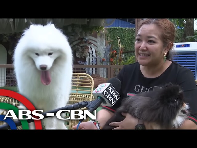 Dateline Philippines | ANC (8 April 2026)