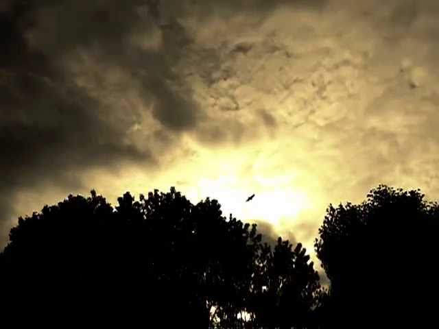 HOWES LIGHT - Whatever Day You Say You Are Gone