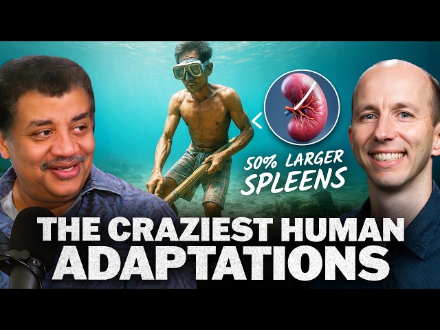 Adaptibility: Humanity’s Superpower, with Herman Pontzer