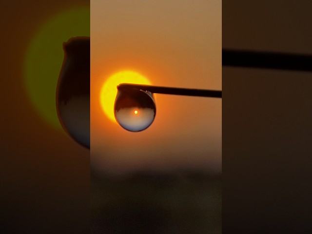 WATER 👉DROP PHOTOGRAPHY💡HOW TO USE WATER DROPS🔥 #water #photography #ytshorts #ideas #youtubeshorts