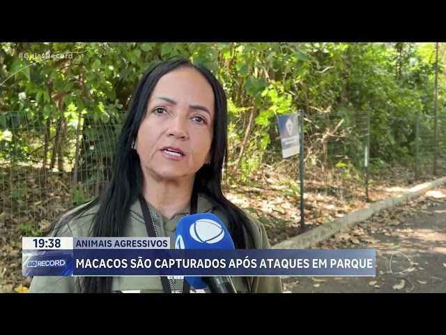 Monkeys captured after attacks in park