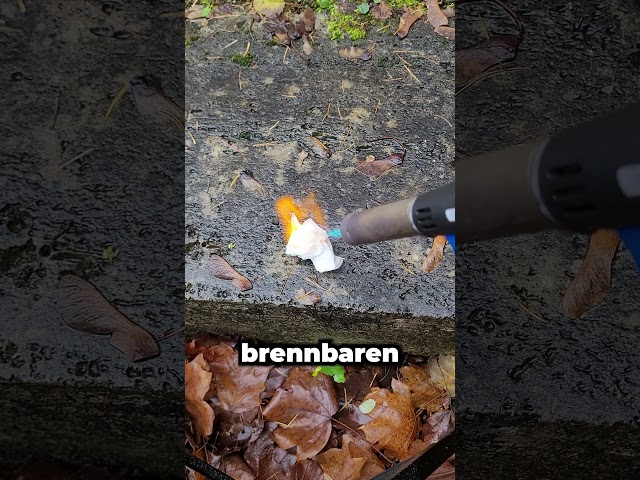 I'm burning my money #experiment #science #chemistry #frontyardalchemist #physics